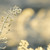 Thumbnail of new posts 146