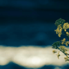 Thumbnail of new posts 036
