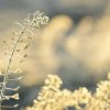 Thumbnail of new posts 071